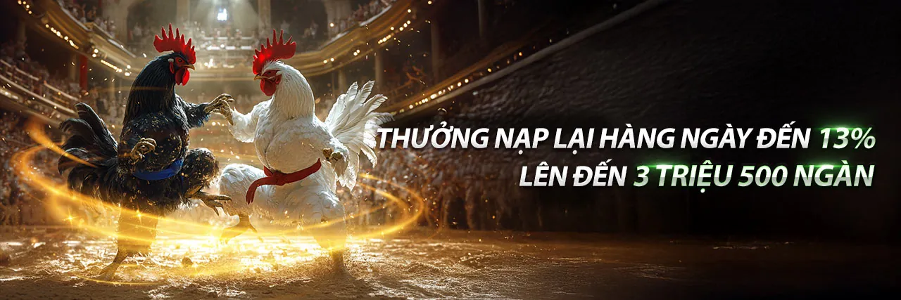 Đá Gà Trực Tuyến vz88 khuyến mãi